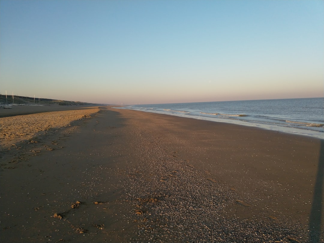brown sand beach during daytime