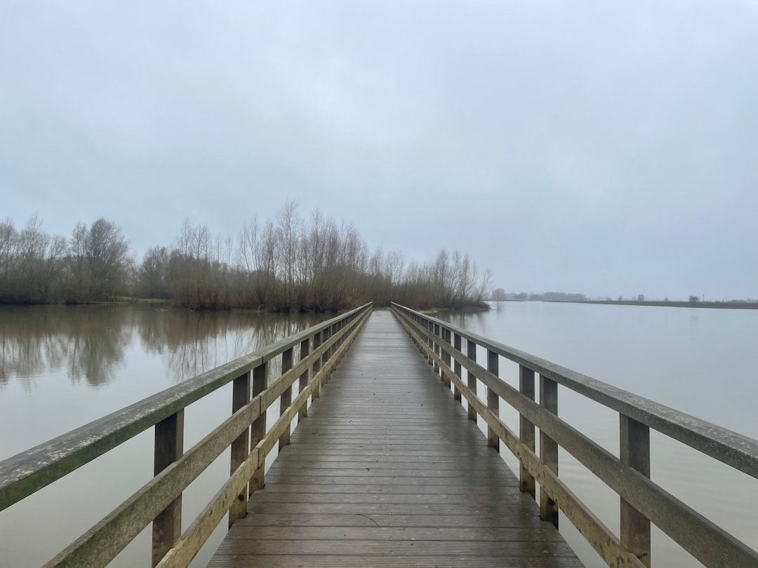 a long wooden bridge over a body of water