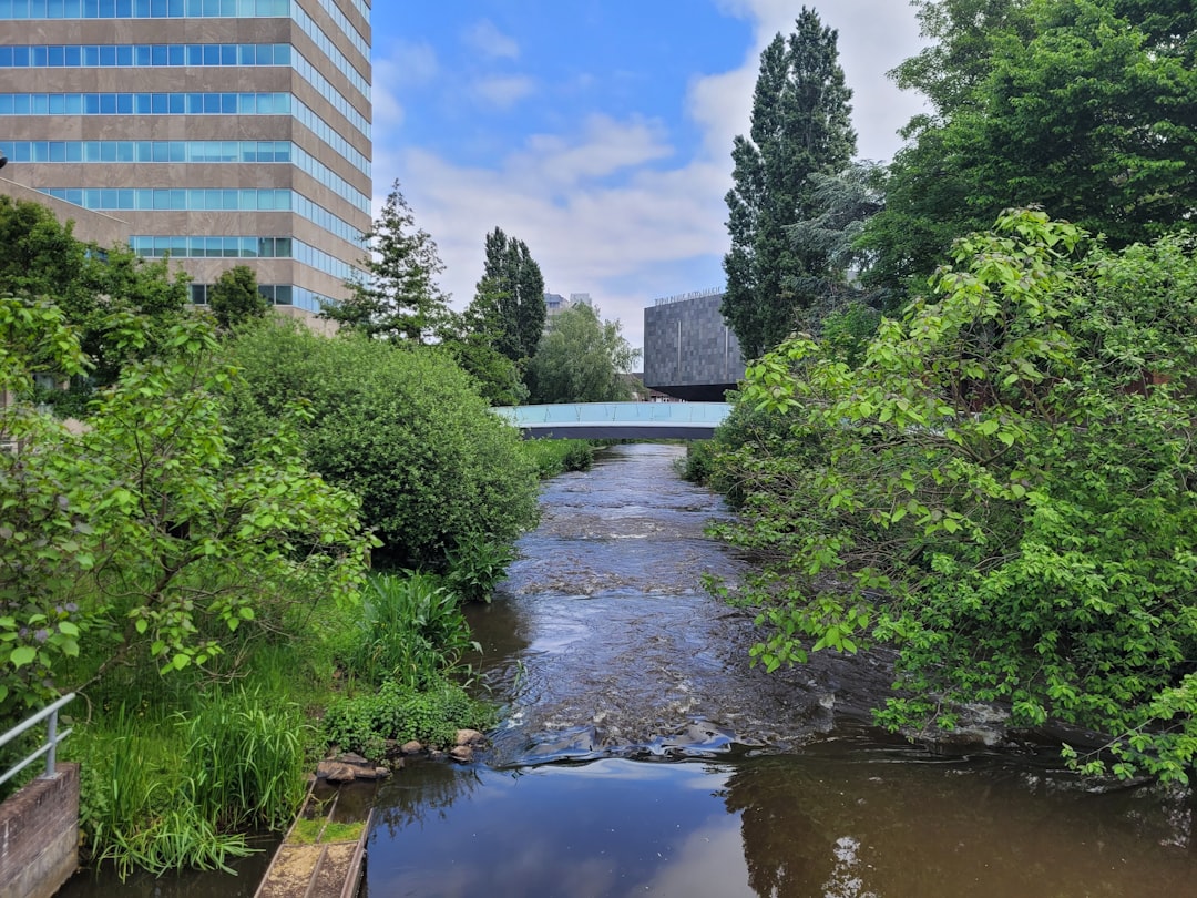 a river running through a lush green forest