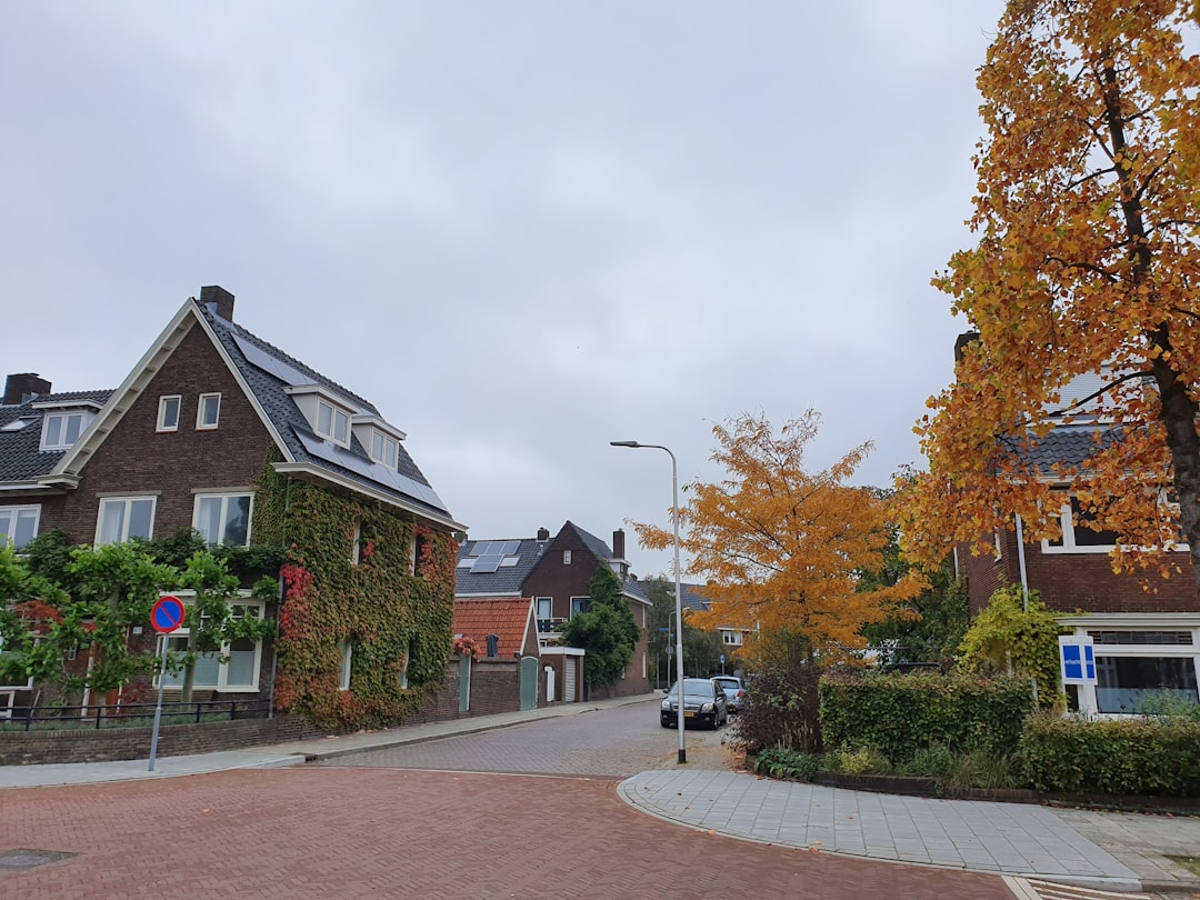 a street lined with houses and trees with orange leaves