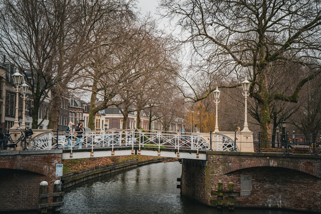 a white bridge over a small river in a city